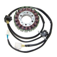 ElectroSport Stator ESG731 for alternator