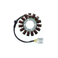 ElectroSport Stator ESG745 for alternator