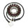 ElectroSport Stator ESG746 for alternator