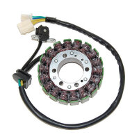 ElectroSport Stator ESG748 Lichtmaschine