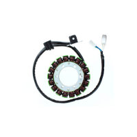 ElectroSport Stator ESG075 for alternator