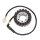 ElectroSport Stator ESG754 für Lichtmaschine