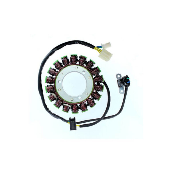 ElectroSport Stator ESG760 Lichtmaschine