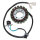 ElectroSport Stator ESG775 Lichtmaschine