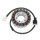 ElectroSport Stator ESG780 für Lichtmaschine