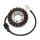 ElectroSport Stator ESG785 Lichtmaschine