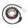 ElectroSport Stator ESG787 für Lichtmaschine