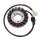 ElectroSport Stator ESG792 für Lichtmaschine