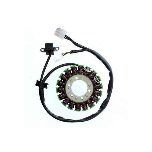 ElectroSport Stator ESG793 Lichtmaschine