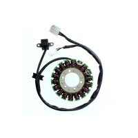 ElectroSport Stator ESG793 Lichtmaschine