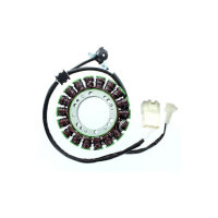 ElectroSport Stator ESG799 Lichtmaschine