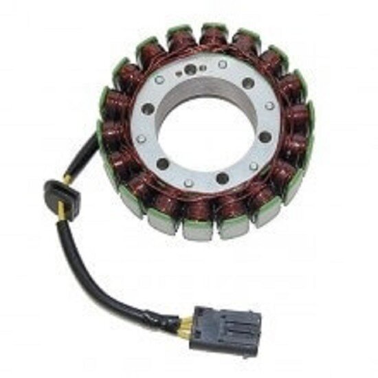 ElectroSport Stator ESG829 Lichtmaschine