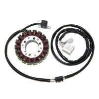 ElectroSport Stator ESG836 for alternator