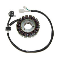 ElectroSport Stator ESG842 Lichtmaschine