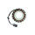 ElectroSport Stator ESG874 Lichtmaschine