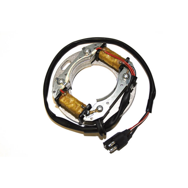 ElectroSport Stator ESC8081 Lichtmaschine