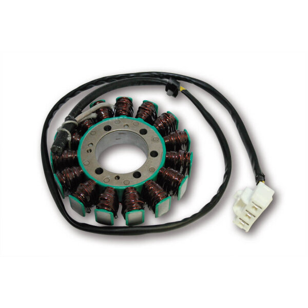 ElectroSport Stator ESG905 Lichtmaschine