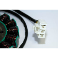 ElectroSport Stator ESG905 Lichtmaschine