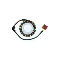 ElectroSport Stator ESG919 Lichtmaschine