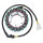 ElectroSport Stator ESG092 für Lichtmaschine