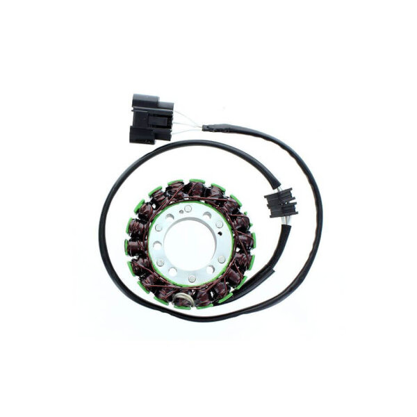 ElectroSport Stator ESG920 Lichtmaschine