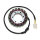 ElectroSport Stator ESG951 Lichtmaschine