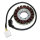 ElectroSport Stator ESG954 Lichtmaschine