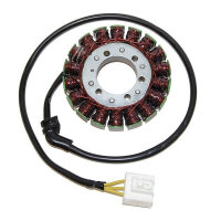 ElectroSport Stator ESG958 for alternator