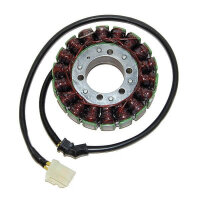 ElectroSport Stator ESG959 Lichtmaschine