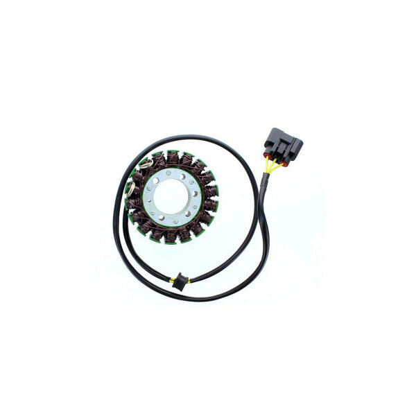 ElectroSport Stator ESG996 Lichtmaschine