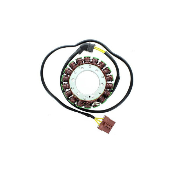 ElectroSport Stator ESG999 für Lichtmaschine