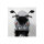 MRA Tourenscheibe T, HONDA PCX 125/150 Bj. 2010-2013, rauchgrau