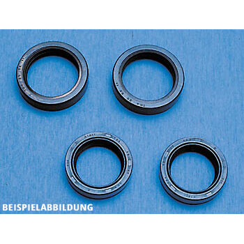 Gabelsimmerring-Satz A 001