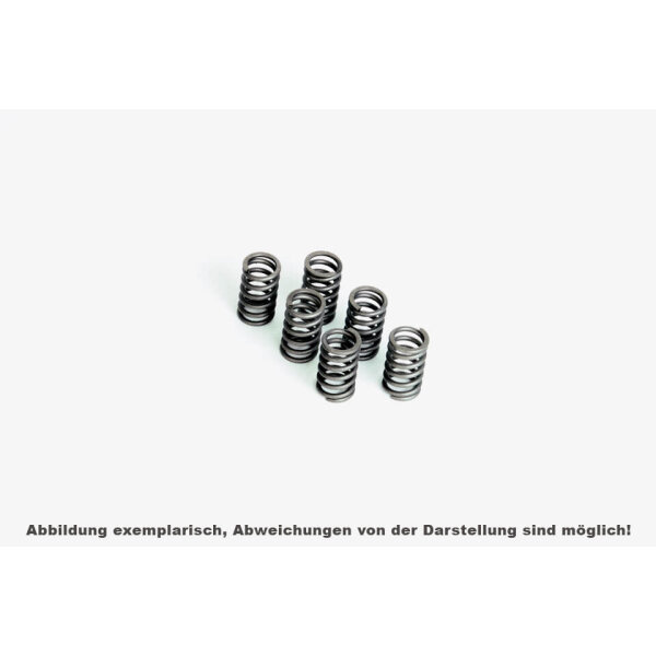 FERODO Clutch spring set FSS0413