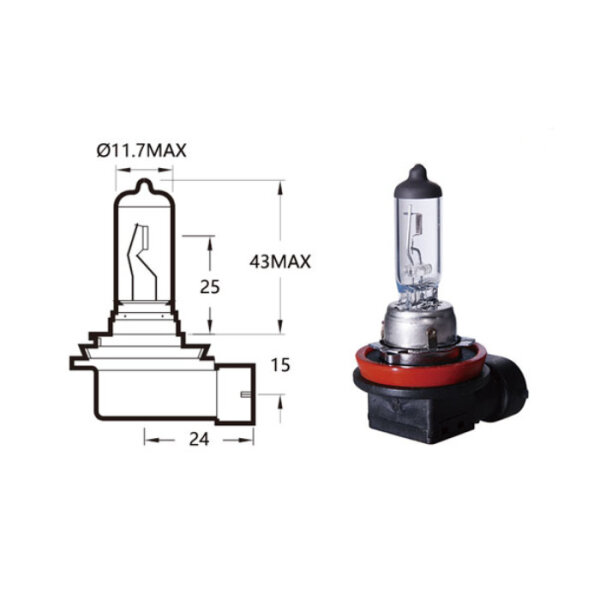 Hauptscheinwerferlampe | 12V 55W H11