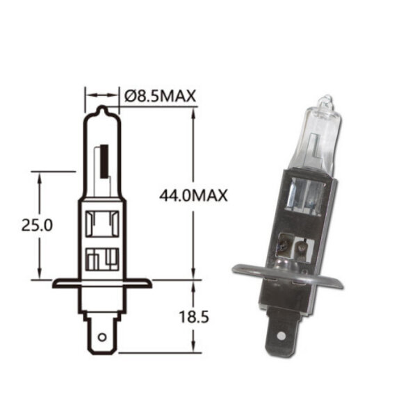 Hauptscheinwerferlampe | 12V 55W H1 P14,5s