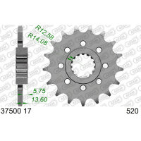 Ritzel 37500-17 | 17Z - 520