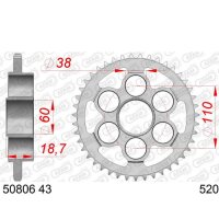 Kettenrad 50806-43 | 43Z - 520