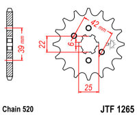 Ritzel 14Z | 520