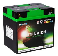 Skyrich Batterie HJTX30Q-FP [166x123x163] 12,8V/8AH (10...