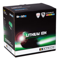 Skyrich Batterie HJTX30Q-FP [166x123x163] 12,8V/8AH (10...