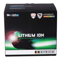 Skyrich Batterie HJTX30Q-FP [166x123x163] 12,8V/8AH (10 Std.), 96 Wh, CCA: 480