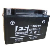 ES Energy Safe Batterie ENERGYSAFE ESTX9-BS (CP) mit...