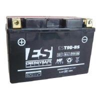 ES Energy Safe Batterie ENERGYSAFE EST9B-BS (CP) mit...