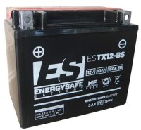 ES Energy Safe Batterie ENERGYSAFE ESTX12-BS (CP) mit...