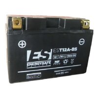 ES Energy Safe Batterie ENERGYSAFE EST12A-BS (CP) mit...