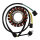 SGR Stator Suzuki DR 650 SE (96-14)