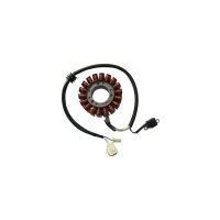 SGR Stator Yamaha T-MAX 500 (01-03)