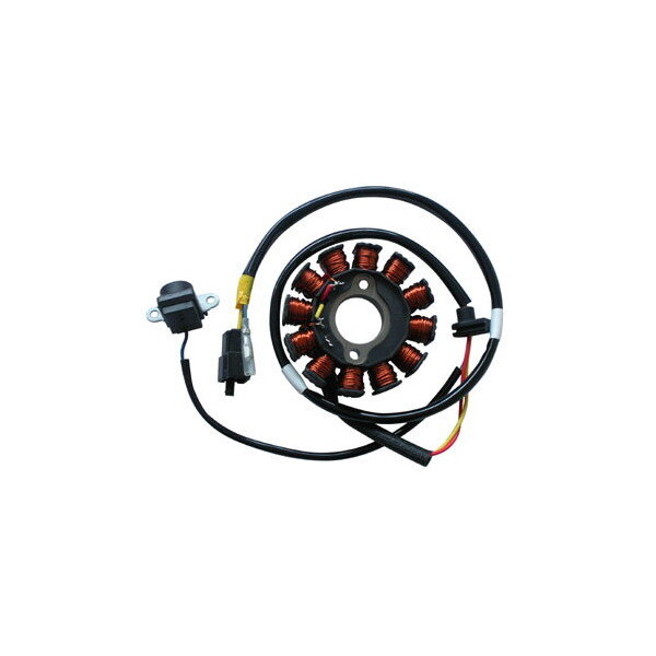 SGR Stator Kymco, Malaguti People 125/150/200, Ciak Master E3 125/200