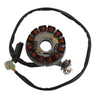 SGR Stator Betamotor, HM-Vent, Husqvarna, Malaguti MBL,...